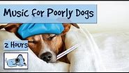 Music for Sick Dogs. If your Dog is ill - Try this Music to Relax them! 🐶 #POORLY01