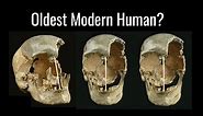 Oldest Modern Human Genome Dates Back over 45,000 Years