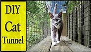 DIY CAT Enclosure: How to make Cat Walkways or Cat Tunnels. 🐱‍👓