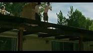 Short video of Joe Mazzello screaming in The Social Network (2010)