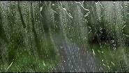 Nature screensaver with the sound of rain and raindrops flowing on the glass- Meditation screensaver