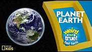 Planet Earth | Weird But True!—Fast Facts