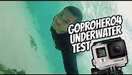 Gopro hero 4 under water with waterproof case. #papsriomotovlog #gopro4 #lapulapu