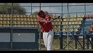 baseball bat hit sound effect and video