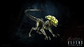 Aliens: Fireteam Elite HD Wallpaper - Xenomorph Attack