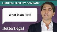 What is an EIN? Employer Identification Numbers Explained