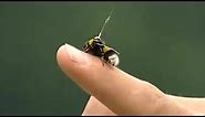 Watch the Flight of a Bumble Bee | Animal Camera | BBC Earth