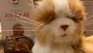 Hasbro's Animatronic Cat "Joy For All" Product Demo!