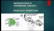 REPRODUCTION IN VERTEBRATES ||FULL LESSON|LIFE SCIENCE GRADE 12