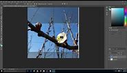 How to Crop an Image to 16 by 9 Aspect Ratio in Photoshop 2017