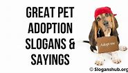 101 Unique Pet Adoption Slogans & Latest Pet Rescue Slogans