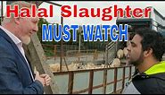 Halal Slaughter - Must watch