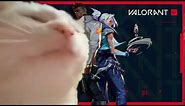 Cat Vibing to Valorant theme (MEME)