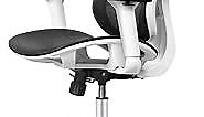 FelixKing Office Chair, Ergonomic Desk Chair with Adjustable Headrest and 3D Armrests Lumbar Support and Silver Wheels Reclining High Back Mesh Computer Chair (White)