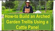 Tips and Ideas on How-to Build an Arched Garden Trellis Using a Cattle Panel