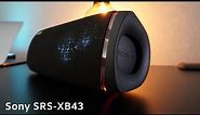 Sony SRS-XB43 Review - The Hard Truth!
