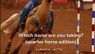 Which one are you taking? #horses #pick #quarterhorse #xxhorse_edits #xxhorse_