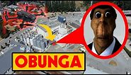 DRONE CATCHES OBUNGA at THE OBUNGA HIDEOUT IN REAL LIFE | OBUNGA CAUGHT ON DRONE