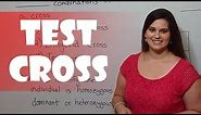 Test Cross (to Determine Genotype)