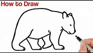How to Draw a Bear Easy | Animals Drawings for Beginners