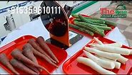 Vegetable Slicer | Vegetable Cutter | Slicer Machine | Slicer Dicer Chopper | Vegetable Chopper