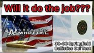 30-06 Hornady American Whitetail 150gr Ammo Review & Ballistics Gel Test: GREAT DEER HUNTING AMMO?!