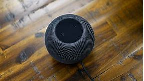 HomePod Mini vs. Echo Dot: which is better?