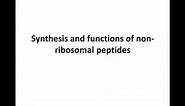 Synthesis and functions of non-ribosomal peptides (NRP)