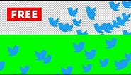 Twitter logo animation green screen, Transparent background | 3 animations free download