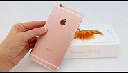 iPhone 6s Plus Review--Pretty in Pink!
