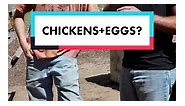 Vegans…eat eggs. They are extremely rich in vital nutrients for brain development and a great source of protein. These are the best eggs to eat. Corn and soy free pasture raised eggs! Had fun visiting pajaro pastures. Full vlog out next week! #eggs #vegan #santacruzmedicinals #bodybuildingdiet #foodquality