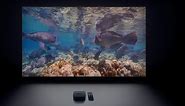 Apple TV now features 10 beautiful underwater video screensavers - 9to5Mac