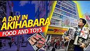 Akihabara Japan Guide! ULTIMATE DAY TOUR!!