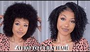 AFRO to CURLY HAIR | Testing New Hair Products on NATURAL TYPE 4 HAIR | DisisReyRey