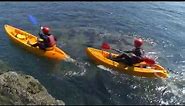 Canoeing & Kayaking. Arete Outdoor Centre, Wales