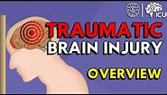 Overview of Traumatic Brain Injury (TBI)