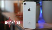 iPhone XR in 2023 - Can It Be Your Daily Driver?