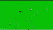 birds flying silhouette green screen video@motionbg
