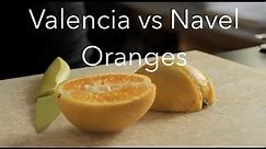 Valencia Oranges vs Navel Oranges - The FruitGuys