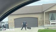 Police Officer Chases and Tackles Runaway Pig in Granstville | Funny Animal Video