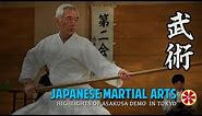 Iaido Kenjutsu Iaijutsu Japanese Martial Arts Demonstrations
