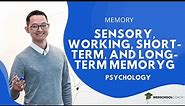Sensory, Working, Short-Term, and Long-Term Memory