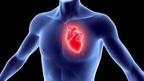 Heart & Vascular Center Video - Brigham and Women's Hospital