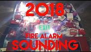 2018 New Years Fire Alarm Sounding!