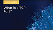 MicroNugget: What is a TCP Port?