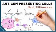 Antigen Presenting Cells - Few basic differences