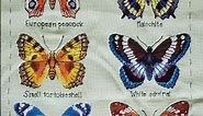 Butterflies #xstitch