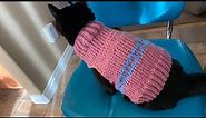 Knit in the Round - Adult cat sweater