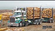 Kenworth T659 8x4 with chain throwers and auto tensioners | New Zealand Trucks | Beyond the Noise