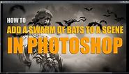How to Add a Swarm of Halloween Bats to video in Photoshop
